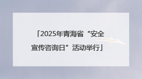 2025年青海省“安全宣传咨询日”活动举行