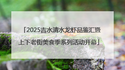 2025吉水清水龙虾品鉴汇暨上下老街美食季系列活动开幕