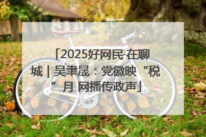 2025好网民·在聊城｜吴聿晟：党徽映“税”月 网播传政声