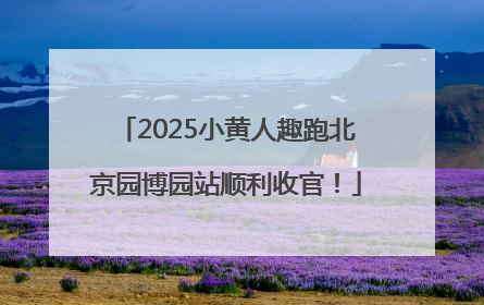 2025小黄人趣跑北京园博园站顺利收官！