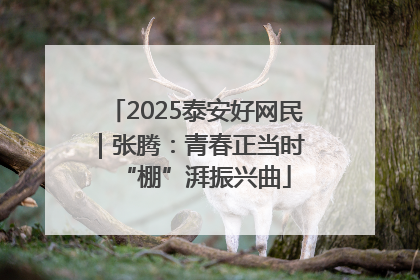 2025泰安好网民｜张腾：青春正当时 “棚”湃振兴曲