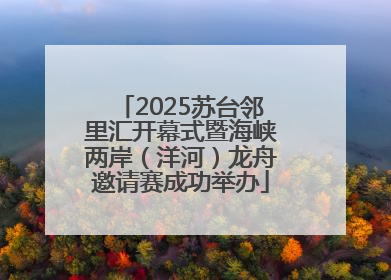2025苏台邻里汇开幕式暨海峡两岸（洋河）龙舟邀请赛成功举办