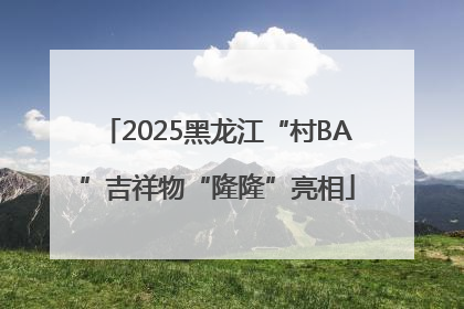 2025黑龙江“村BA”吉祥物“隆隆”亮相