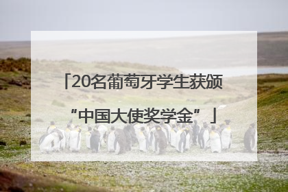 20名葡萄牙学生获颁“中国大使奖学金”