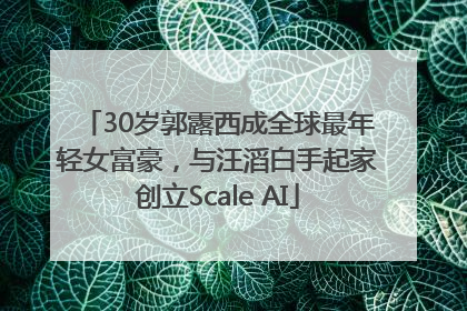 30岁郭露西成全球最年轻女富豪，与汪滔白手起家创立Scale AI