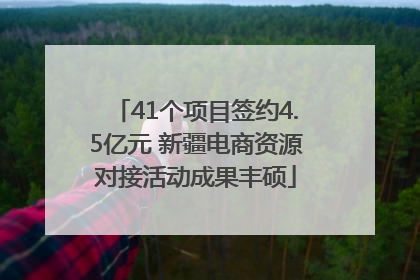 41个项目签约4.5亿元 新疆电商资源对接活动成果丰硕
