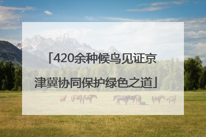 420余种候鸟见证京津冀协同保护绿色之道