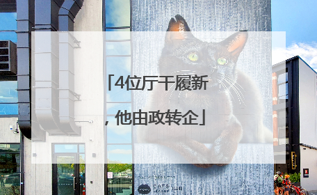 4位厅干履新，他由政转企