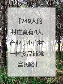 749人的村庄竟有4大产业，小官村一村多品铺就富民路