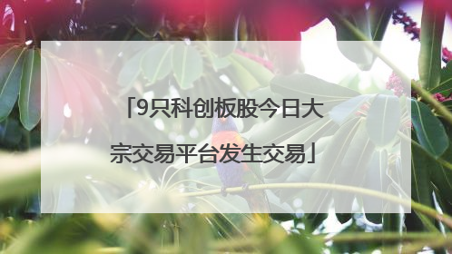 9只科创板股今日大宗交易平台发生交易