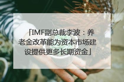 IMF副总裁李波：养老金改革能为资本市场建设提供更多长期资金
