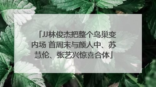 JJ林俊杰把整个鸟巢变内场 首周末与颜人中、苏慧伦、张艺兴惊喜合体
