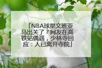 NBA球星文班亚马出关了？网友在高铁站偶遇，少林寺回应：人已离开寺院