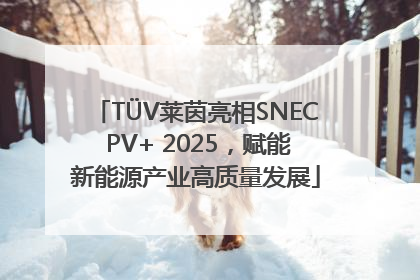 TÜV莱茵亮相SNEC PV+ 2025，赋能新能源产业高质量发展